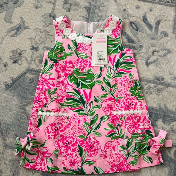 Lilly Pulitzer Other - Lilly Pulitzer dress